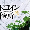 なぜ今ステーキングに注目するのか？ビットコイン研究所が語る今後の動向