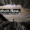 Triathonのメタバース｜Triathon Now！